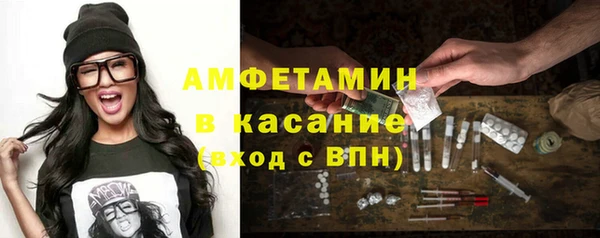 крисы Инта