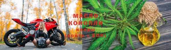 крисы Инта